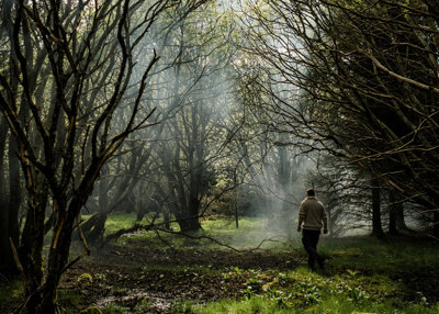 Mann går i en skog. Sola skinner gjennom tretoppene.