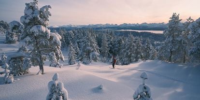 En skiløper i vinterlandskap