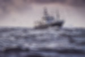Bærekraftig fiskeri